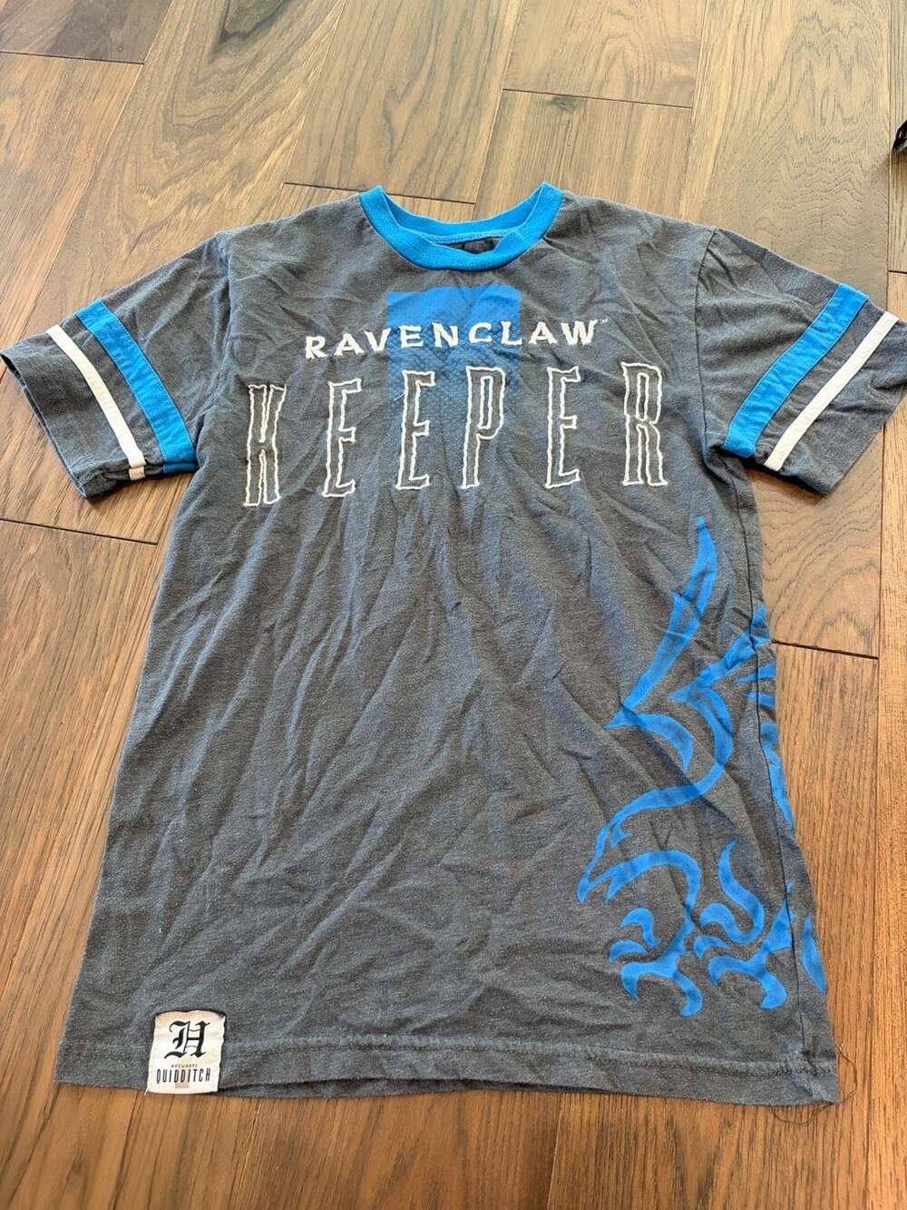 Wizarding World of Harry Potter Universal Studios Ravenclaw Quidditch Keeper Gra